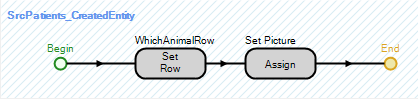 Determining Patient Type by Setting a Row of Datatable to Entity
