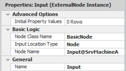 The Input Node